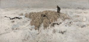 雪の中で羊の群れ